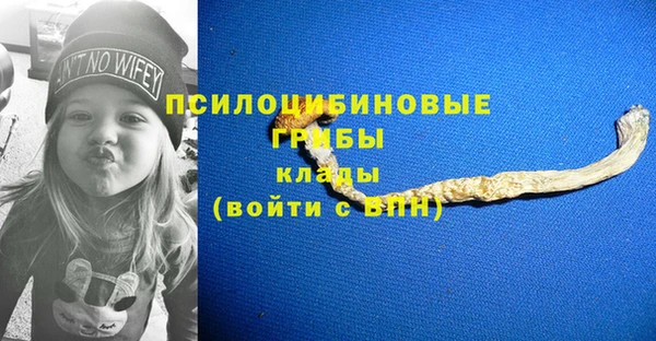МДМА Беломорск
