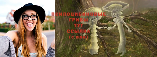 твердый Сосновоборск