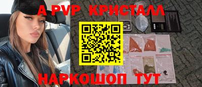 гашик Тара