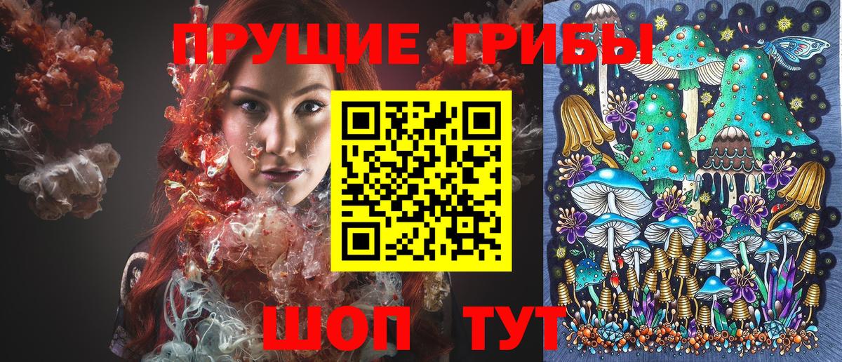 Псилоцибиновые грибы GOLDEN TEACHER  Псилоцибиновые грибы Cubensis  Вход с VPN  Пыть-Ях 